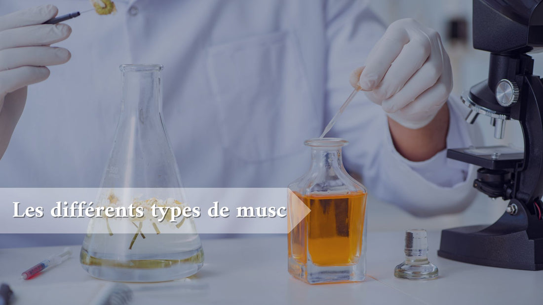 differents-types-de-musc